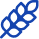 Program Icon